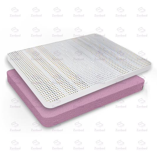 HR Ortho Plus Latex Foam Mattress by Zenbed